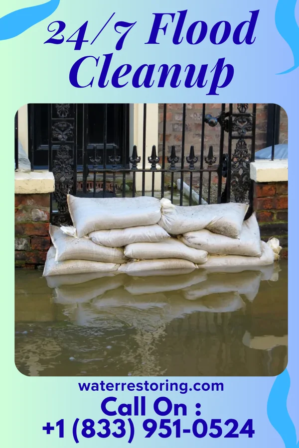 24/7 Flood Cleanup in Kingsland, GA