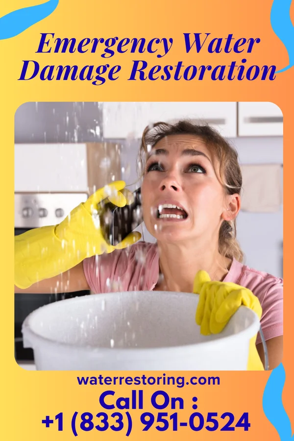 Emergency Water Damage Restoration in Kingsland, GA