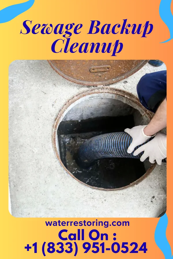 Sewage Backup Cleanup in Kingsland, GA