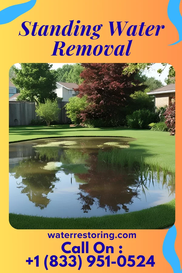 Standing Water Removal in Kingsland, GA